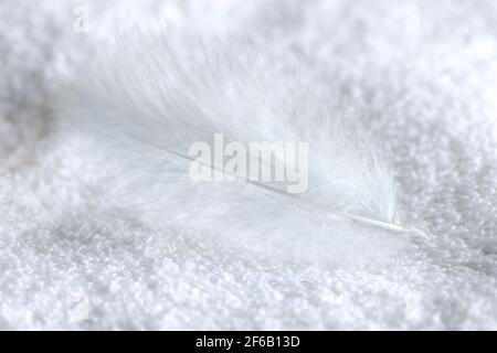 La piuma d'uccello bianca giace sulla salvietta closeup Foto Stock