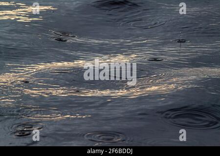 Piscine di luce con gocce d'acqua. Gocce di pioggia, caduta, rimbalzo, superficie Foto Stock