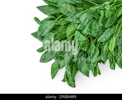 Foglie di spinaci isolate su sfondo bianco. Bordo spinaci. CopySpace Foto Stock