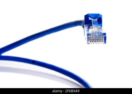 Connettore rj-45 su cavo patch blu per connessione ethernet LAN di rete. Tappo a forma di serpente. Primo piano macro isolata su sfondo bianco. Foto Stock