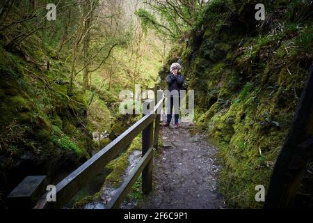 Una fotografa donna su un percorso a Dhone Glen, Isola di Man Foto Stock