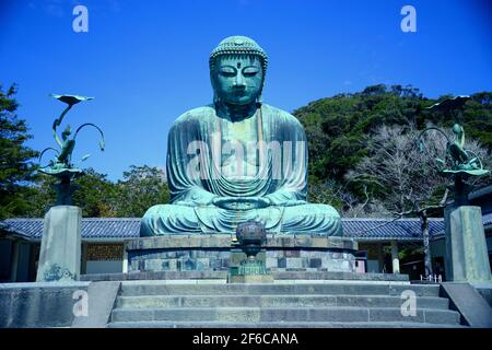 GIAPPONE: KAMAKURA, KOTOKU-IN, DAIBUTSU TEMPIO Foto Stock