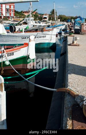 Bilancelle, imbarcazioni da pesca tipiche, Carloforte, Isola di San Pietro, Sulcis Iglesiente, Carbonia Iglesias, Sardegna, Italia, Europa Foto Stock