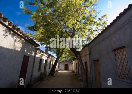 San Salvatore paese occidentale, Cabras, Distretto di Oristano, Sardegna, Italia, Europa Foto Stock