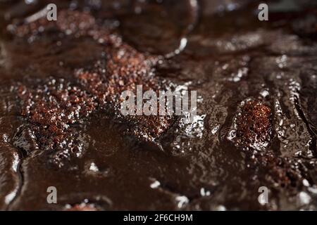 Tradizionale dessert di Pasqua finlandese, mämmi, fatto di farina di segale, e scorza d'arancia di Siviglia. Budino di memma svedese. Primo piano macro di mämmi mammi su un cucchiaio Foto Stock