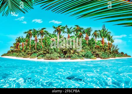 Intera isola tropicale entro atollo oceano tropicale. Disabitata e selvaggia Isola subtropicale con palme. Parte equatoriale dell'oceano, è tropicale Foto Stock