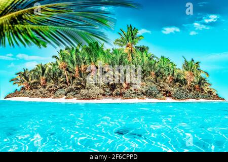 Intera isola tropicale entro atollo oceano tropicale. Disabitata e selvaggia Isola subtropicale con palme. Parte equatoriale dell'oceano, è tropicale Foto Stock