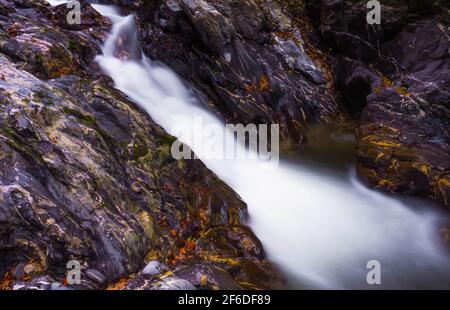 Piccola cascata closeup fine estate in Romania montagne Foto Stock