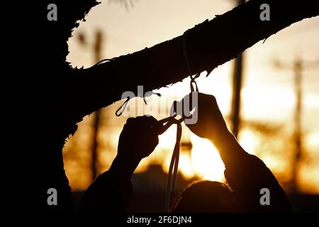 Un uomo lega le lacci da un albero per onorare Donovon Lynch durante una veglia Martedì sera, 30 marzo 2021. Lynch è stato ucciso e ucciso da un agente di polizia di Virginia Beach venerdì 26 marzo, presso il lungomare di Virginia Beach. (Foto di Jonathon Gruenke/Daily Press/Virginian Pilot/TNS/Sipa USA) Credit: Sipa USA/Alamy Live News Foto Stock