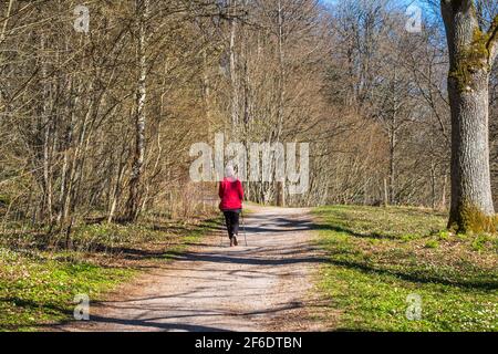 Donna anziana che cammina su un sentiero del parco in primavera sole Foto Stock