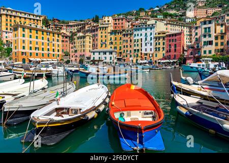 Barche in piccolo porto come tipiche case colorate sullo sfondo a Camogli, Italia. Foto Stock