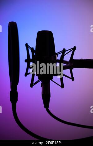 Microfono cardioide a diaframma grande in studio VoiceOver in studi professionali di registrazione vocale. Foto Stock