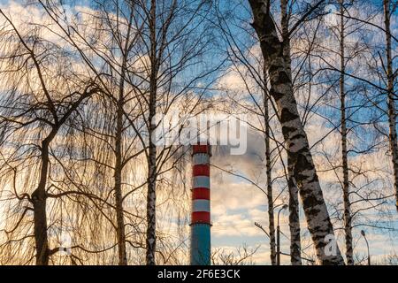 Il fumo proviene da un tubo industriale contro lo sfondo di un cielo nuvoloso e rami di alberi, tempo di tramonto Foto Stock