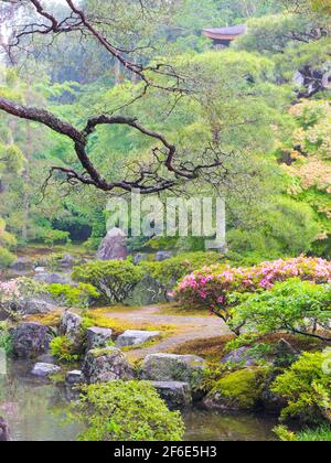 Una vista sui lussureggianti giardini e fiori in fiore. In una giornata grigia, piovosa e nebbiosa al tempio di Ginkaku-ji a Kyoto, Giappone. Foto Stock