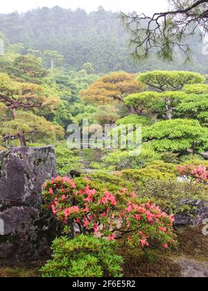 Una vista sui lussureggianti giardini e fiori in fiore. In una giornata grigia, piovosa e nebbiosa al tempio di Ginkaku-ji a Kyoto, Giappone. Foto Stock