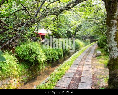 Una vista sulla flora, le piante, il verde lungo i gradini di pietra della Filosofia a Kyoto, Giappone. Foto Stock