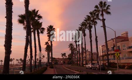 Oceanside, California USA - 27 Jan 2020: Silhouette di palme, cielo crepuscolo, atmosfera crepusca nightfall. Spiaggia tropicale dell'oceano pacifico, tramonto afterglow aes Foto Stock