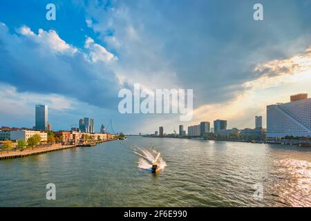 Vista sulla città di Rotterdam sul fiume Nieuwe Maas, Paesi Bassi Foto Stock