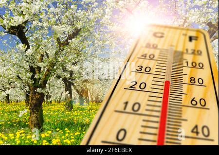 riscaldare il termometro in primavera Foto Stock