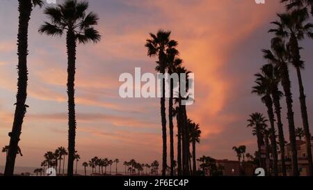 Oceanside, California USA - 27 Jan 2020: Silhouette di palme, cielo crepuscolo, atmosfera crepusca nightfall. Spiaggia tropicale dell'oceano pacifico, tramonto afterglow aes Foto Stock