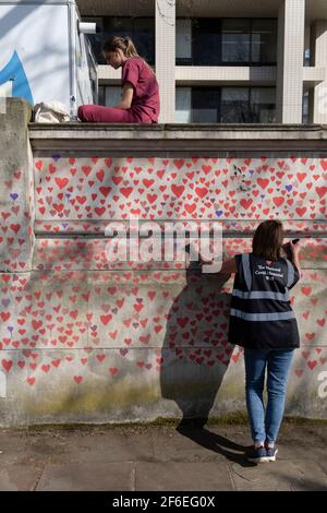 I cuori rossi che formano il National Covid Memorial Wall, un tributo alle oltre 150,000 vittime britanniche della pandemia di Coronavirus. La famiglia e gli amici delle vittime di Covid-19 hanno iniziato a lavorare sul muro situato fuori dall'ospedale St Thomas, e che si affaccia alla Camera del Parlamento a Westminster, il 30 marzo 2021, a Londra, Inghilterra. Lo scorso anno il primo Ministro Boris Johnson è stato trattato per Covid a St Thomas. Foto Stock
