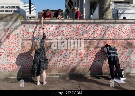I cuori rossi che formano il National Covid Memorial Wall, un tributo alle oltre 150,000 vittime britanniche della pandemia di Coronavirus. La famiglia e gli amici delle vittime di Covid-19 hanno iniziato a lavorare sul muro situato fuori dall'ospedale St Thomas, e che si affaccia alla Camera del Parlamento a Westminster, il 30 marzo 2021, a Londra, Inghilterra. Lo scorso anno il primo Ministro Boris Johnson è stato trattato per Covid a St Thomas. Foto Stock