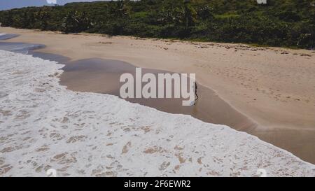 Bella spiaggia tropicale Zoni situato a Culebra Puerto Rico. Foto di alta qualità Foto Stock