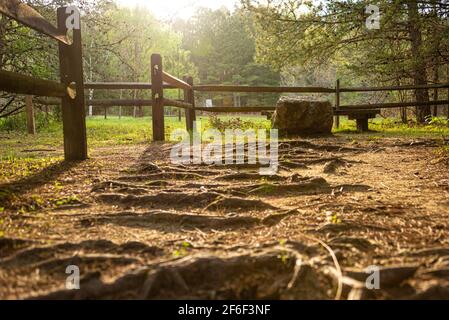 Songbird Habitat e Woodland Trail al tramonto in Stone Mountain Park vicino Atlanta, Georgia. (STATI UNITI) Foto Stock