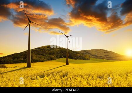 Campo di turbine eoliche e di colza nel paesaggio primaverile. Foto Stock