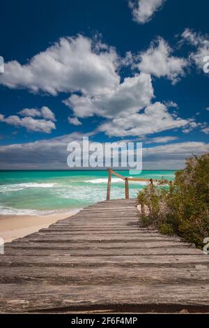 Passerella pedonale in legno che conduce attraverso dune di sabbia con vegetazione di fynbos alla bellissima spiaggia dell'Oceano Atlantico sulla costa della riserva naturale De Hoop, Sou Foto Stock