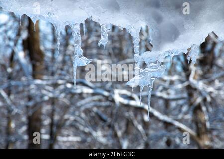 Le ghiacciate sul tetto in un freddo giorno invernale di gennaio nell'Ontario sudoccidentale, Canada. Foto Stock