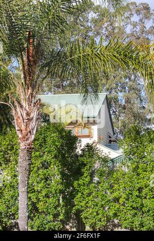 Casa australiana vista attraverso gli alberi con palme in alberi di primo piano e di gomma behind.jpg Foto Stock