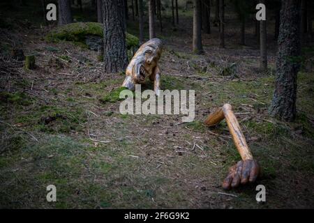 Divertenti figure in legno nel Nordwald, Waldviertel, Austria Foto Stock