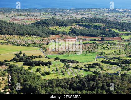 Vista aerea su alberi di mandorle in fiore e il mare in La campagna dell'isola delle Baleari Maiorca durante UN sole Giorno Foto Stock