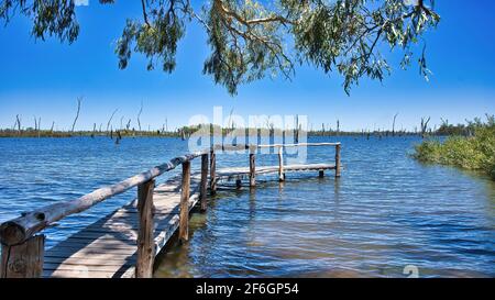 Vecchio molo di legno sul lago Mulwala NSW Foto Stock