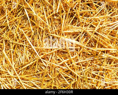 Paglia fieno balle giallo sole estate raccolto paglia autunno fondo asciutto autunnale modello caldo copertura naturale aiuole fiorite giardino Foto Stock