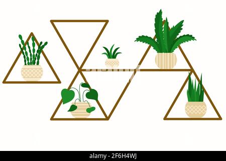 Ripiano insolito con fiori interni in pentole. Rack con piante. Varie piante verdi interne sugli scaffali. Vettore, elemento di disegno. Illustrazione Vettoriale