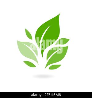 Verde foglia ecologia natura vettore icona. Piante e foglie. Logo di verde foglia ecologia natura elemento vettore icona. Icona vettore natura ecologia foglia albero Illustrazione Vettoriale