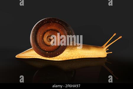 illustrazione 3d Borgogna o lumaca commestibile (Helix pomatia) è comune grande lumaca di terra europea. Helix pomatia - lumaca commestibile Foto Stock