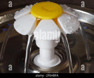 Un macro shot di una fontana d'acqua daisy gatto in funzionamento con flusso d'acqua Foto Stock