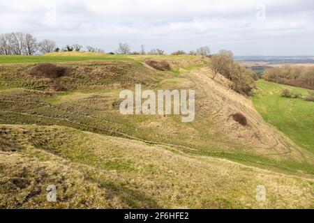 Bincknoll Castle, o Bincknoll Camp, sito di possibile Iron Age univallate Hillfort, Wiltshire, Inghilterra, Regno Unito Foto Stock