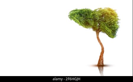 Realistiche le immagini di fegato umano sono albero verde forme circa le malattie e la cirrosi (ambiente). Foto Stock