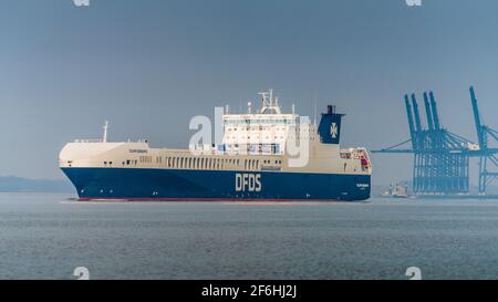 Commercio UE nel Regno Unito. Il traghetto DFDS Tulipa Seaways Ro-Ro Cargo parte dal porto di Felixstowe per Rotterdam. Il DFDS Tulipa Seaways è stato costruito nel 2017. Foto Stock