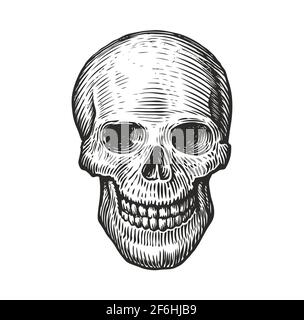 Cranio umano in stile gotico d'epoca. Incisione del vettore di schizzo Illustrazione Vettoriale