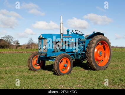 Trattore d'epoca Fordson Super Major in un campo con perforato Spring Barley Foto Stock