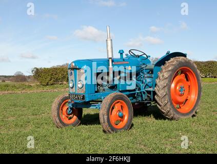 Trattore d'epoca Fordson Super Major in un campo con perforato Spring Barley Foto Stock