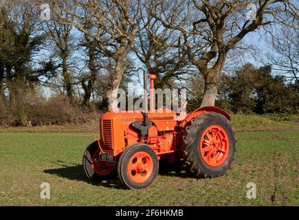Un trattore Case vintage in un campo forato con mais In primavera Foto Stock
