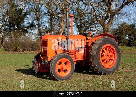 Un trattore Case vintage in un campo forato con mais In primavera Foto Stock