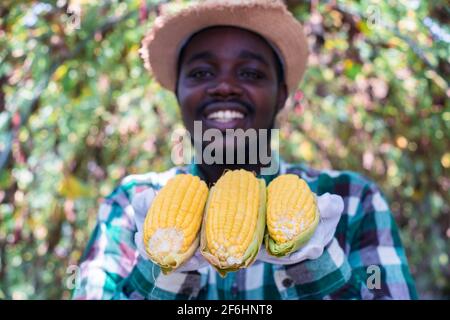 Coltivatore africano che detiene prodotti biologici di mais fresco dalla fattoria Foto Stock