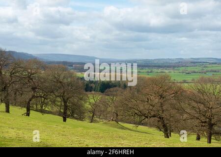 Vista primaverile di Lower Wharfedale da una delle passeggiate Percorsi attraverso la Harewood Estate in West Yorkshire Foto Stock